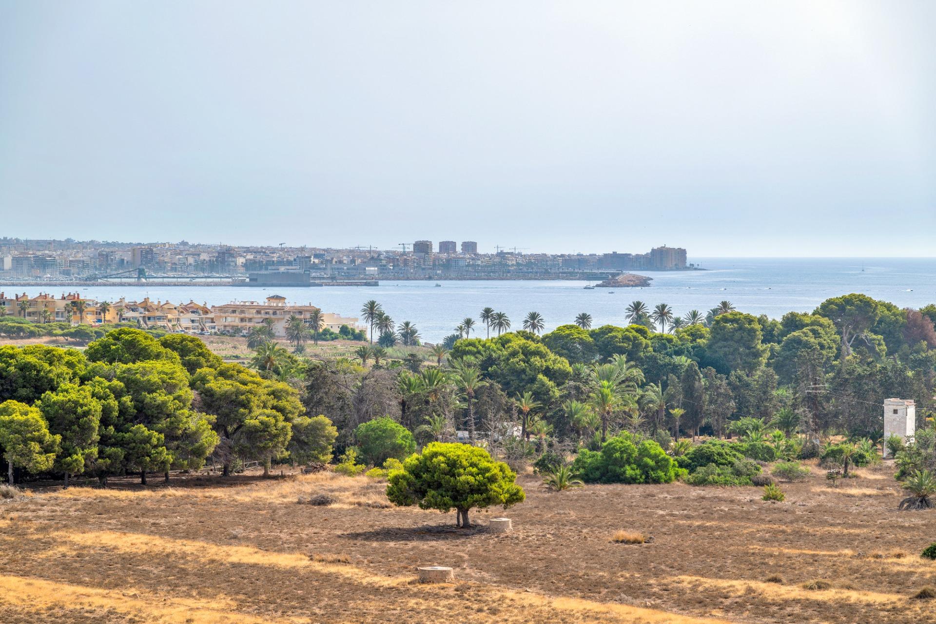 For sale - 2 Bedroom 2 Bathroom Apartment in Torrevieja - Punta Prima  - Alicante