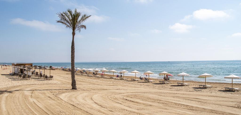 For sale - 2 Bedroom 2 Bathroom Penthouse in Guardamar del Segura - Pueblo  - Alicante