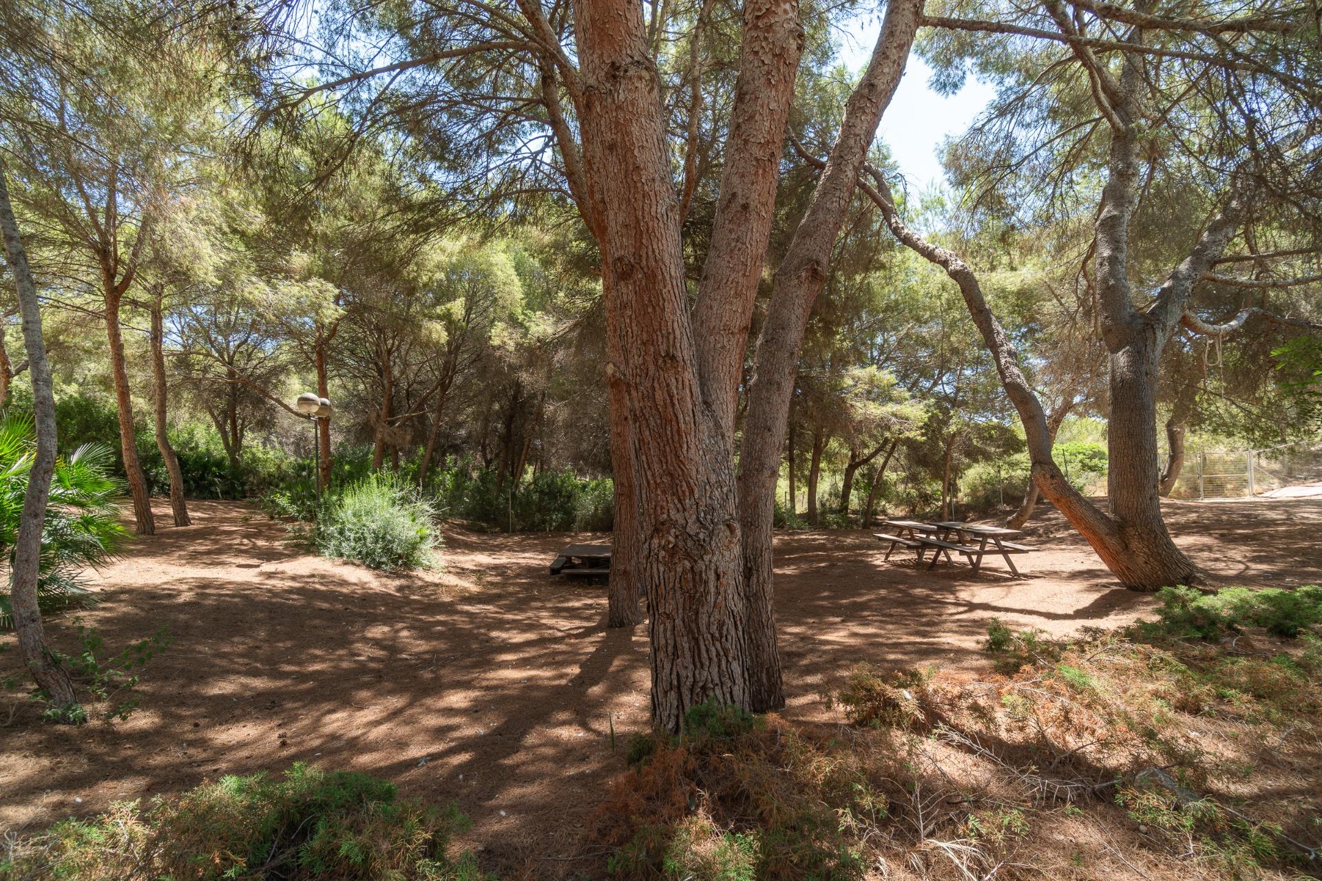 For sale - 2 Bedroom 2 Bathroom Apartment in Cabo Roig - Altos de Campoamor  - Alicante
