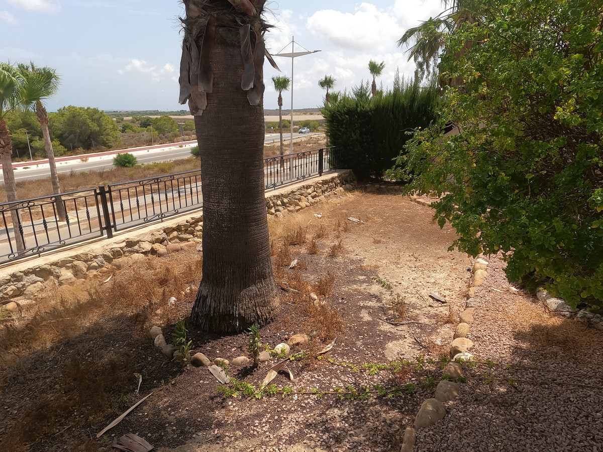 For sale - 2 Bedroom 2 Bathroom Apartment - Ground Floor Apartment in Algorfa - La Finca Golf  - Alicante