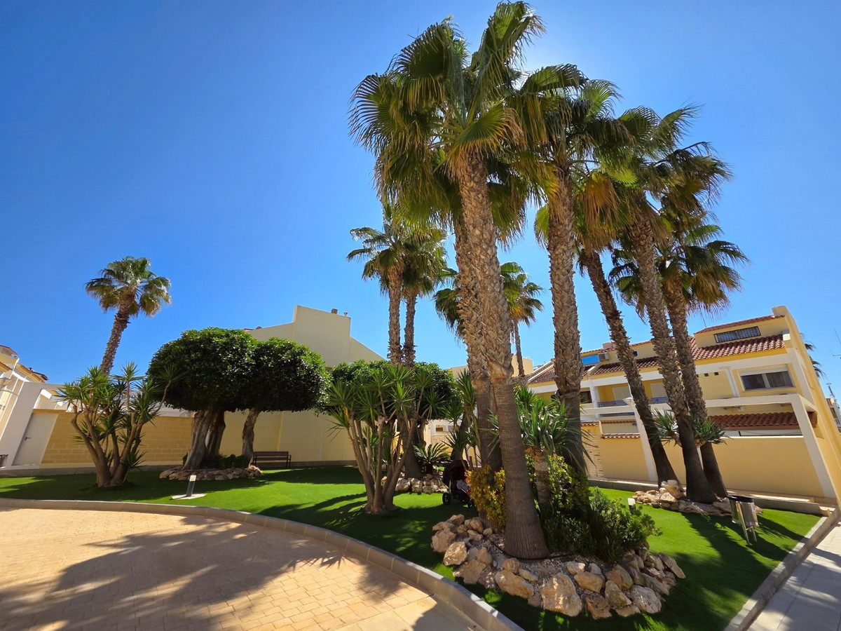 For sale - 3 Bedroom 2 Bathroom House - Townhouse in Torrevieja - La Mata  - Alicante