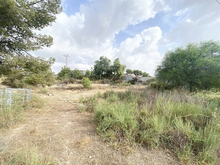 For sale - 4 Bedroom 3 Bathroom House - Detached Villa in Crevillente - Crevillent - Crevillente - Crevillent Centro  - Alicante