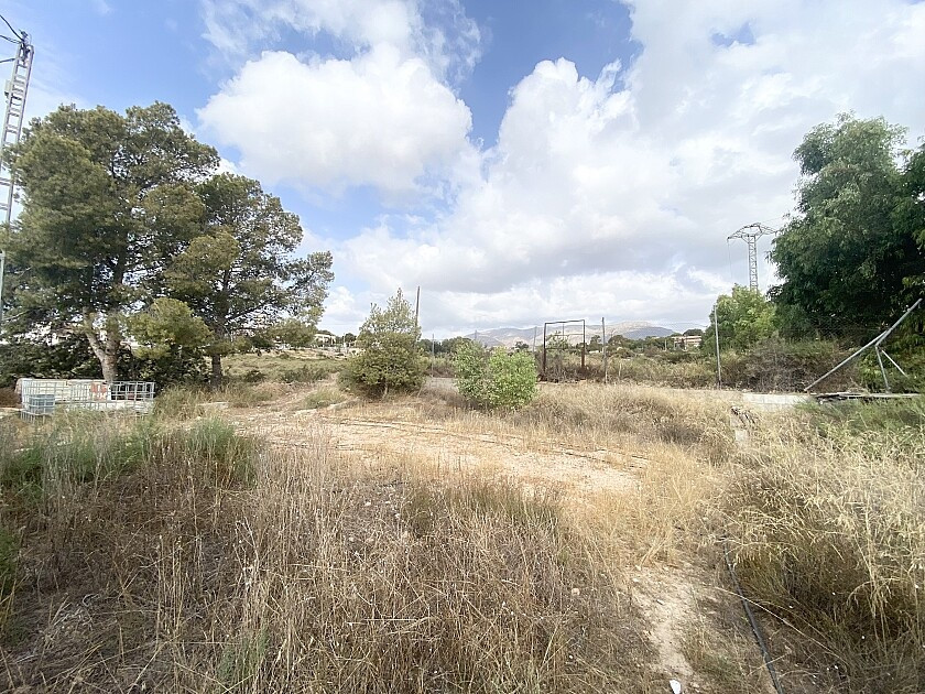 For sale - 4 Bedroom 3 Bathroom House - Detached Villa in Crevillente - Crevillent - Crevillente - Crevillent Centro  - Alicante