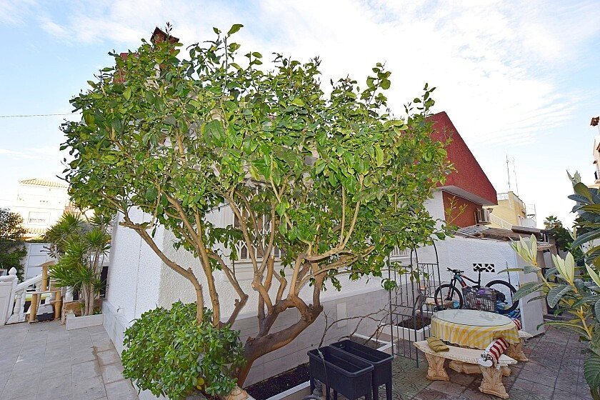 For sale - 3 Bedroom 2 Bathroom House - Detached Villa in Torrevieja - Torrevieja Centro  - Alicante