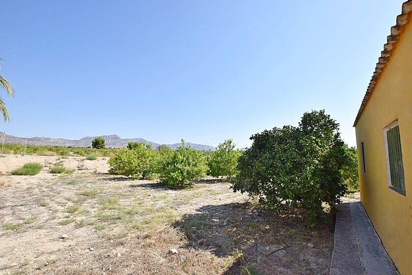 For sale - 3 Bedroom 1 Bathroom House - Detached Villa in Albatera - Albatera Centro  - Alicante