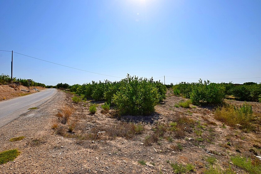For sale - 3 Bedroom 1 Bathroom House - Detached Villa in Albatera - Albatera Centro  - Alicante