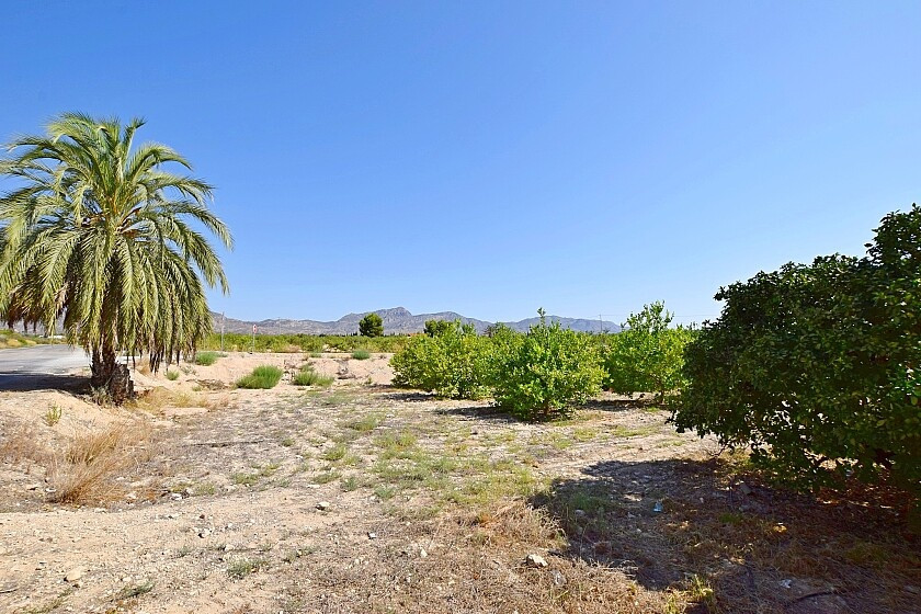 For sale - 3 Bedroom 1 Bathroom House - Detached Villa in Albatera - Albatera Centro  - Alicante