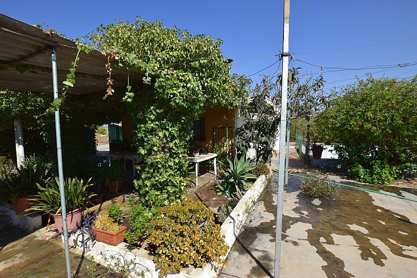For sale - 3 Bedroom 1 Bathroom House - Detached Villa in Albatera - Albatera Centro  - Alicante