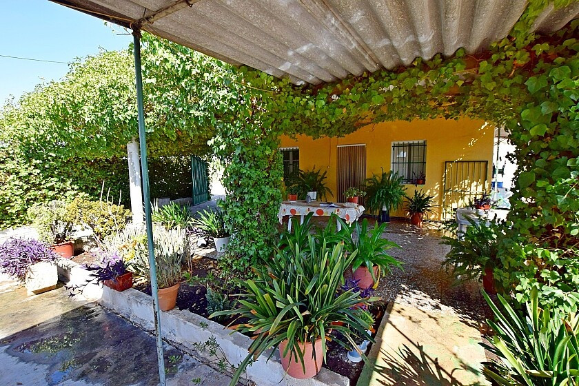 For sale - 3 Bedroom 1 Bathroom House - Detached Villa in Albatera - Albatera Centro  - Alicante