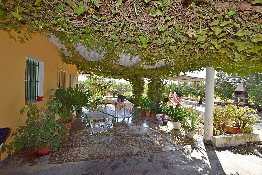 For sale - 3 Bedroom 1 Bathroom House - Detached Villa in Albatera - Albatera Centro  - Alicante