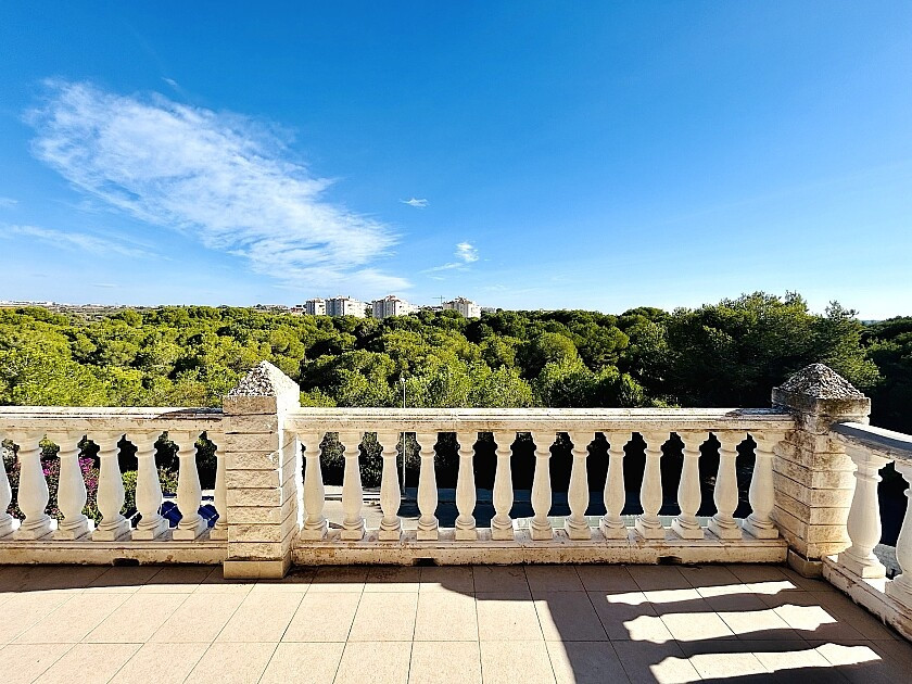 For sale - 10 Bedroom 9 Bathroom House - Detached Villa in Orihuela - Dehesa de Campoamor  - Alicante
