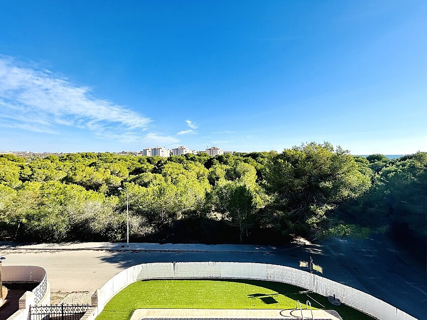 For sale - 10 Bedroom 9 Bathroom House - Detached Villa in Orihuela - Dehesa de Campoamor  - Alicante