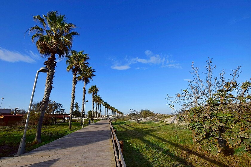 For sale - 5 Bedroom 1 Bathroom Apartment - Ground Floor Apartment in Pilar de la Horadada - Torre de la Horadada  - Alicante