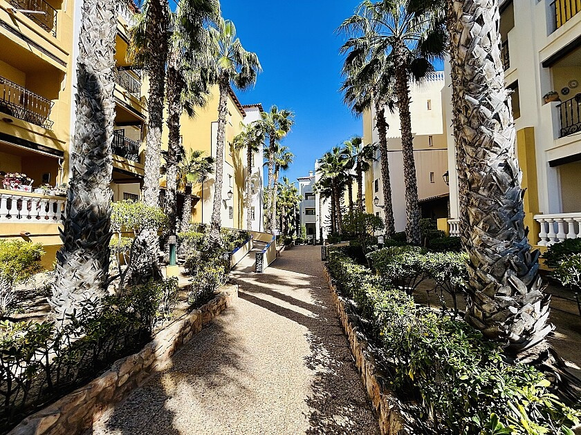 For sale - 2 Bedroom 1 Bathroom Apartment - Ground Floor Apartment in Torrevieja - Playa de los Locos  - Alicante