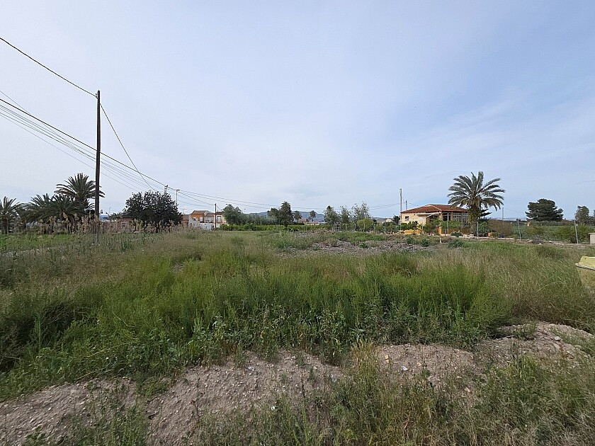 For sale - 3 Bedroom 2 Bathroom House - Detached Villa in Catral - Catral Centro  - Alicante