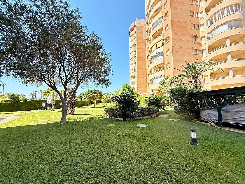 For sale - 2 Bedroom 1 Bathroom Apartment - Middle Floor Apartment in Orihuela - Dehesa de Campoamor  - Alicante