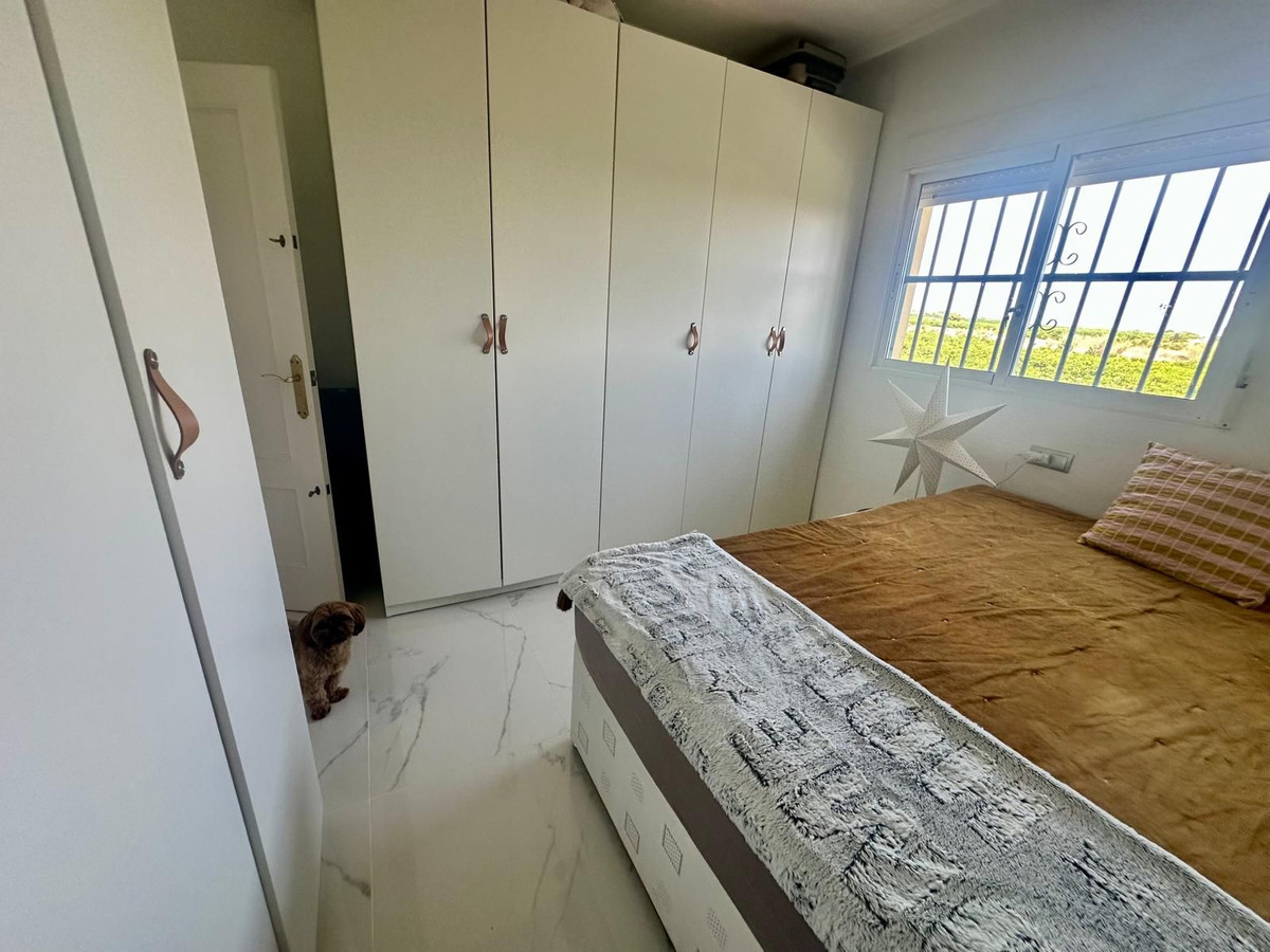 For sale - 3 Bedroom 2 Bathroom House - Detached Villa in Algorfa - Algorfa Centro  - Alicante