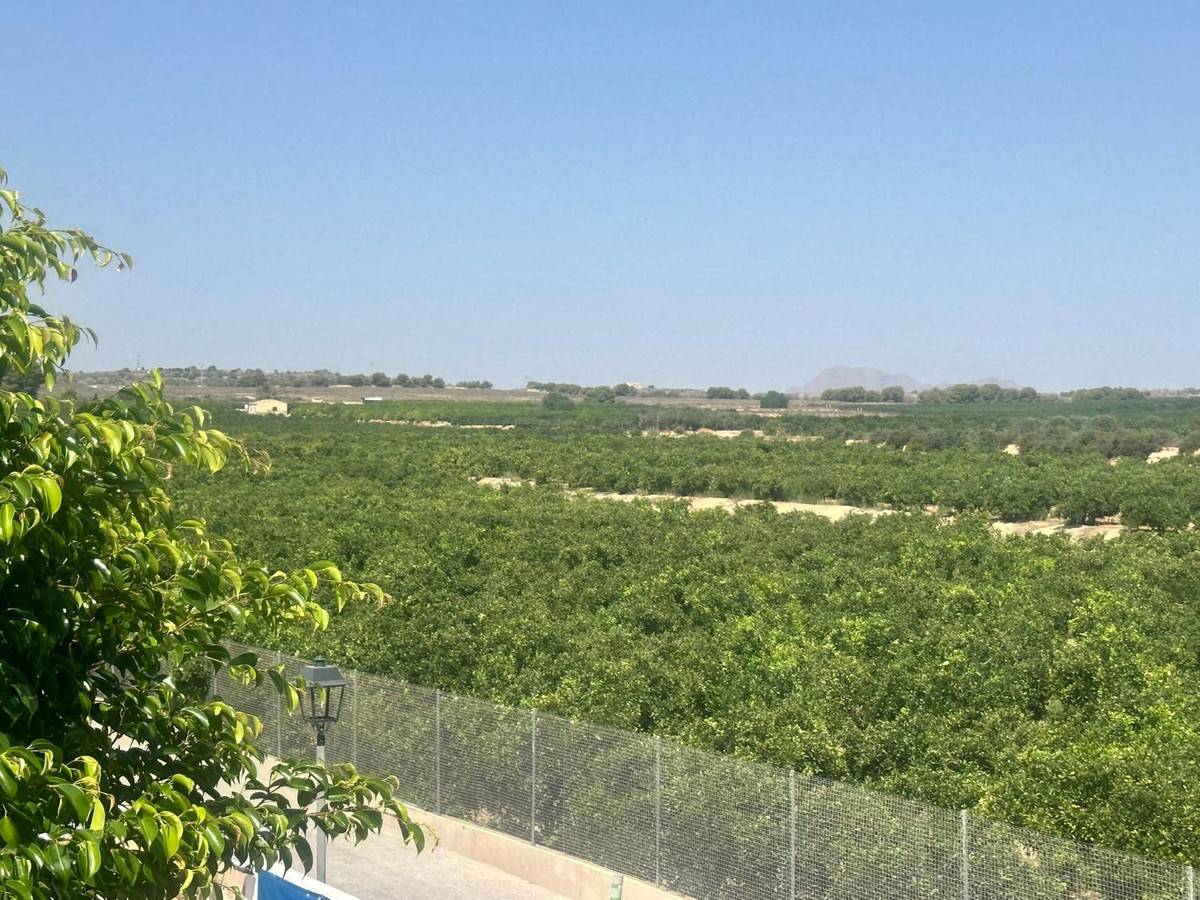 For sale - 3 Bedroom 2 Bathroom House - Detached Villa in Algorfa - Algorfa Centro  - Alicante