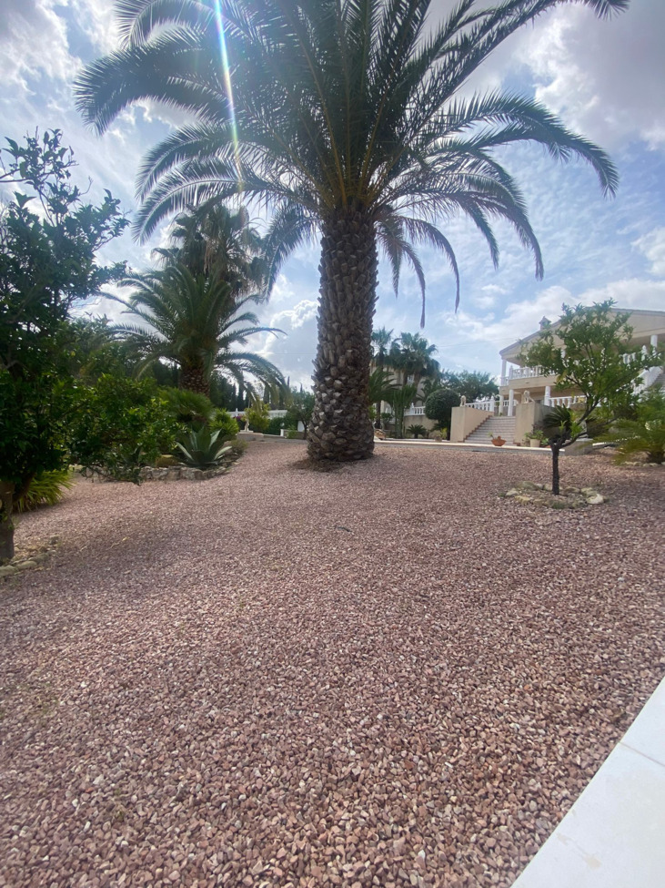 For sale - 3 Bedroom 2 Bathroom Villa in Algorfa - Inland  - Alicante
