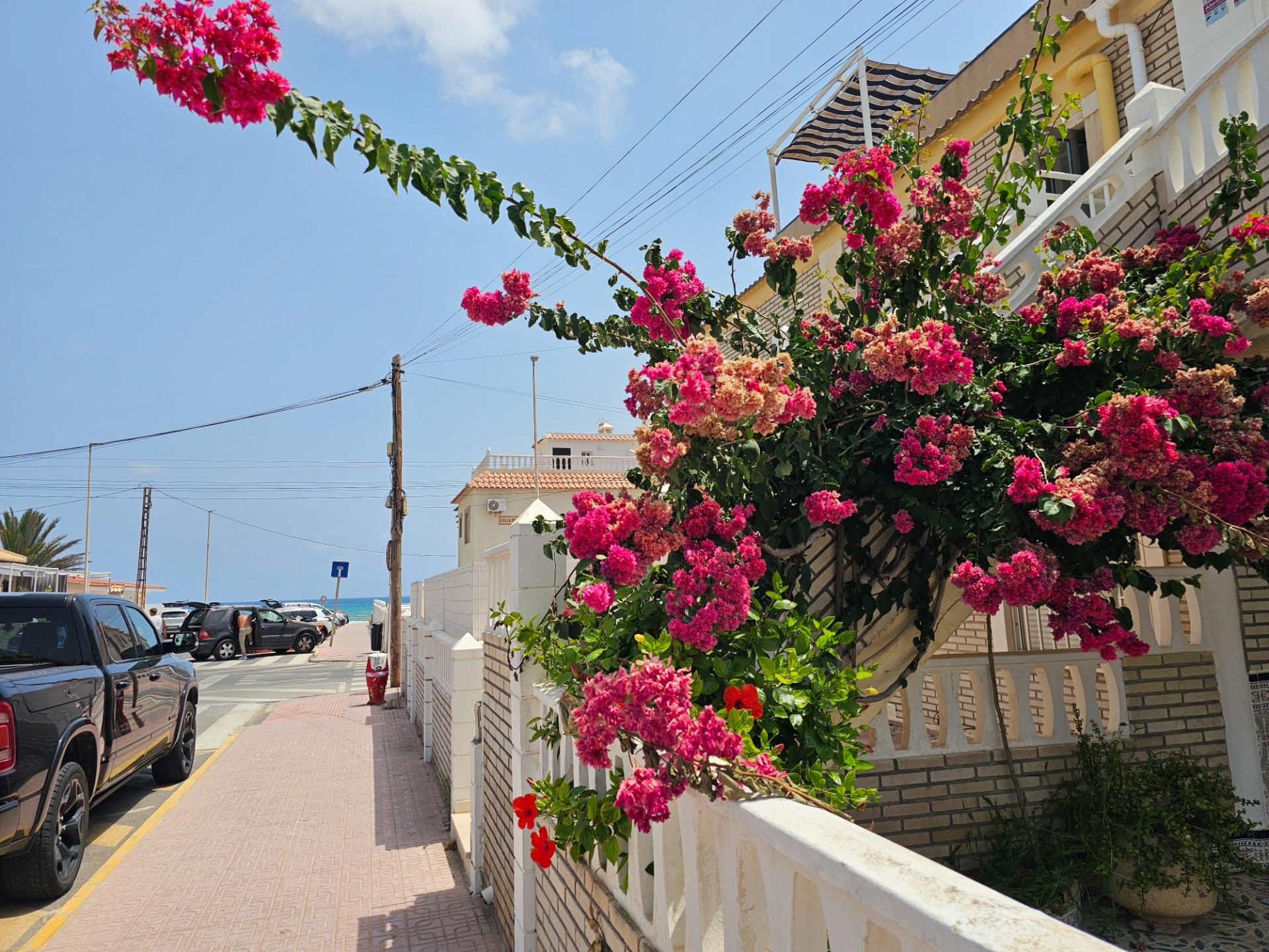 For sale - 3 Bedroom 2 Bathroom Bungalow in Torrevieja - Los Europeos  - Alicante