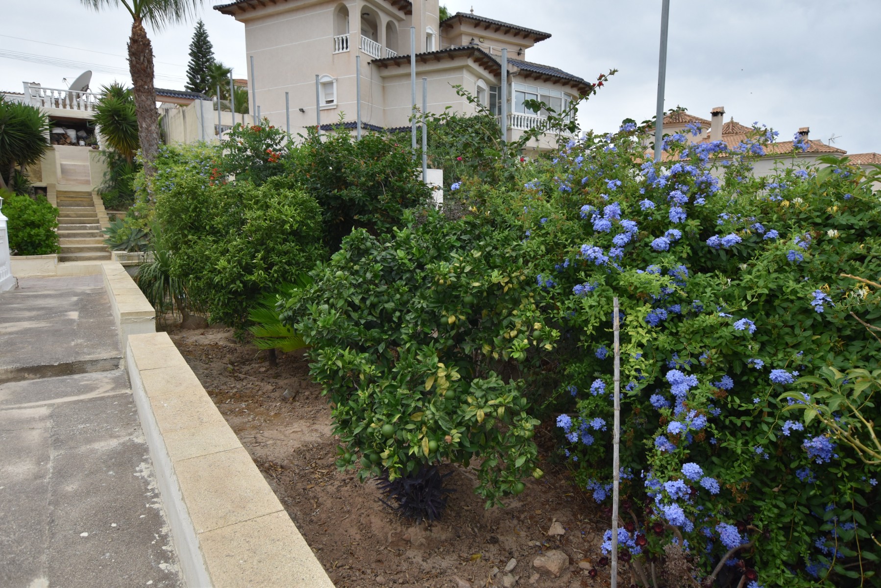 For sale - 3 Bedroom 2 Bathroom Villa in Algorfa - Inland  - Alicante