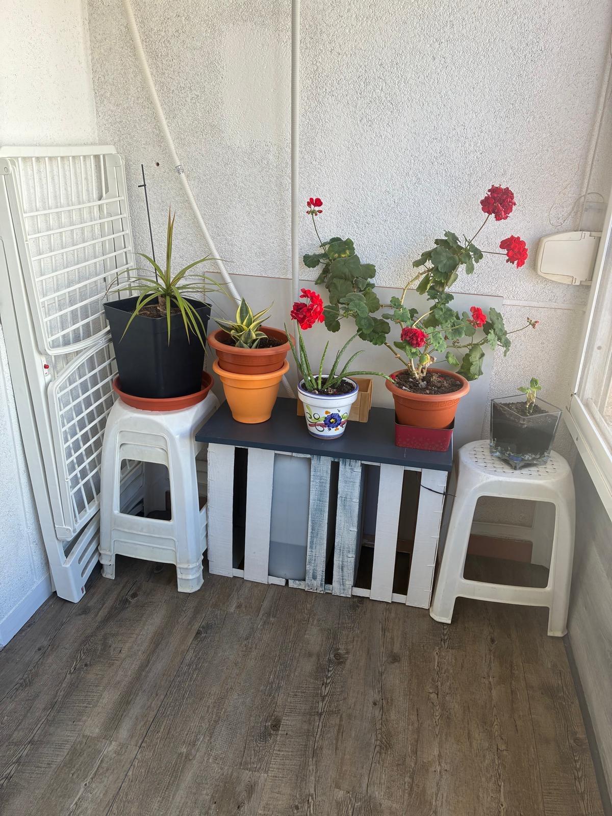 For sale - 2 Bedroom 1 Bathroom Apartment in Torrevieja - Centro  - Alicante