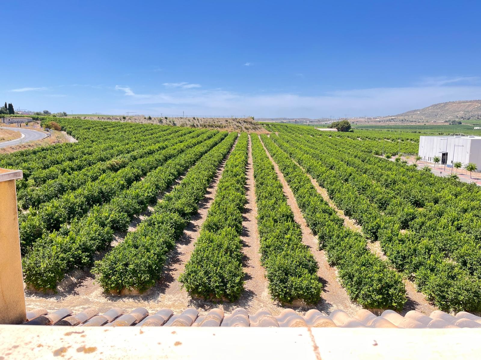 For sale - 2 Bedroom 1 Bathroom Apartment in Algorfa - Inland  - Alicante