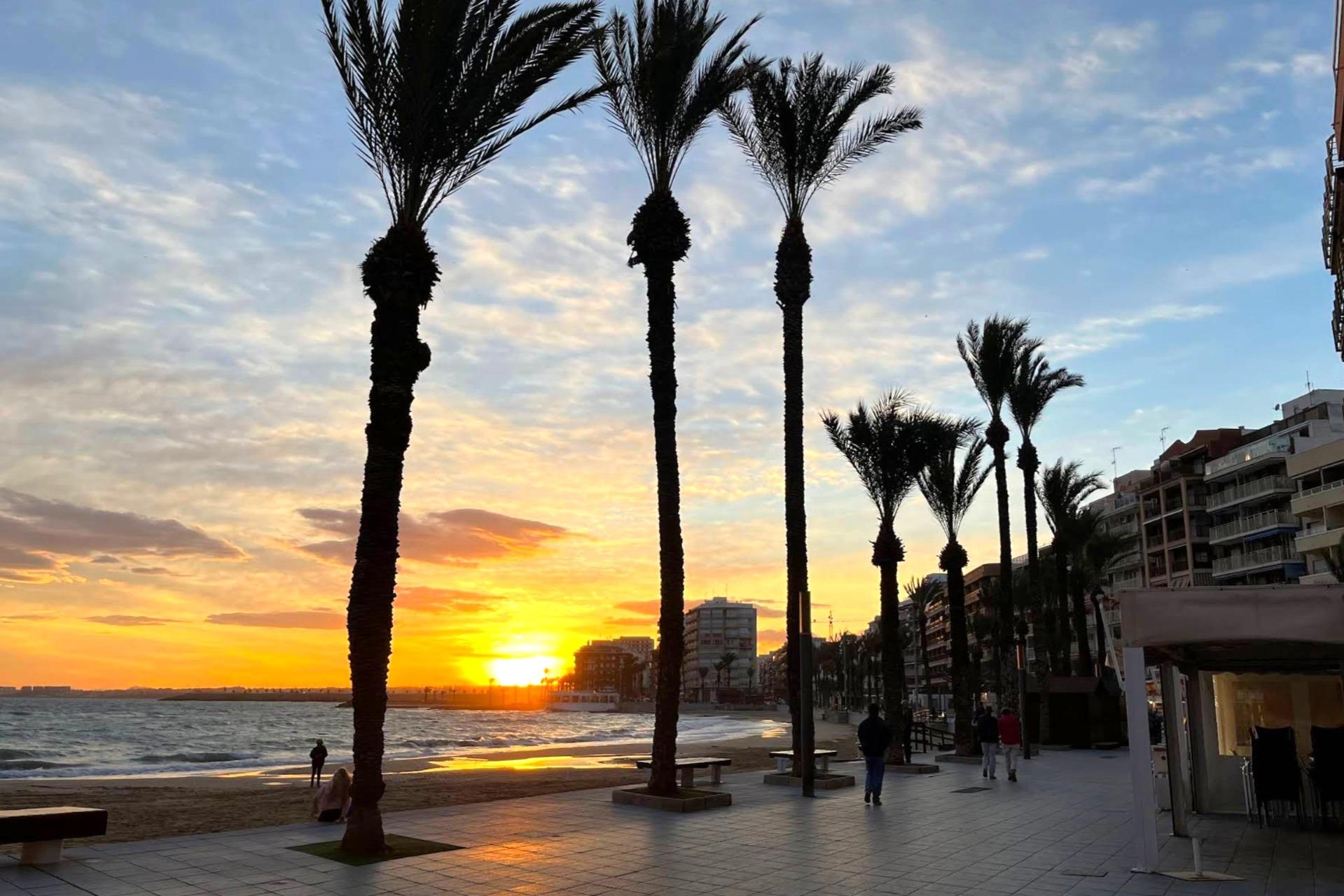 For sale - 2 Bedroom 1 Bathroom Apartment in Torrevieja - Playa Del Cura  - Alicante