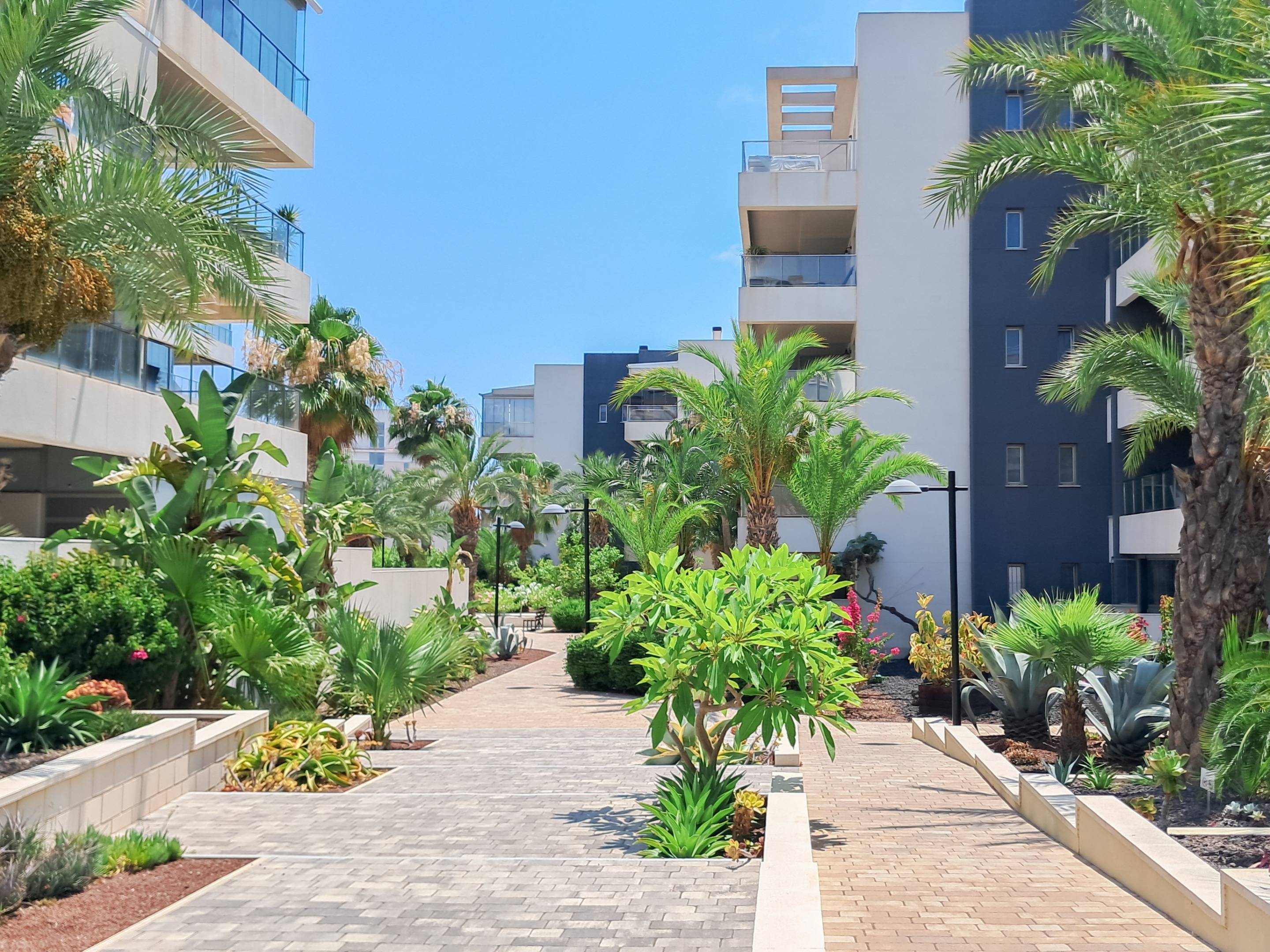 For sale - 3 Bedroom 2 Bathroom Apartment in Orihuela Costa - Los Dolses  - Alicante