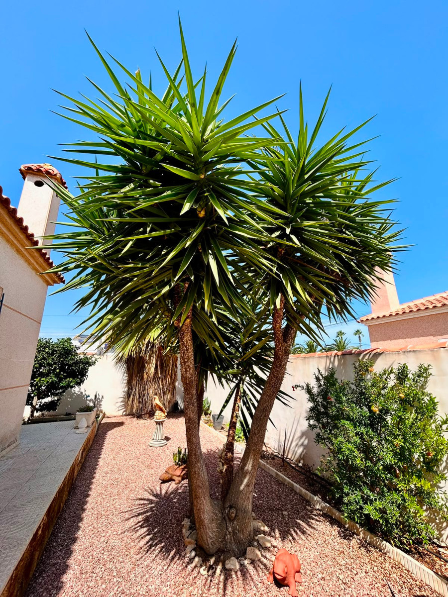 For sale - 3 Bedroom 2 Bathroom Villa in Torrevieja - Costa Blanca  - Alicante