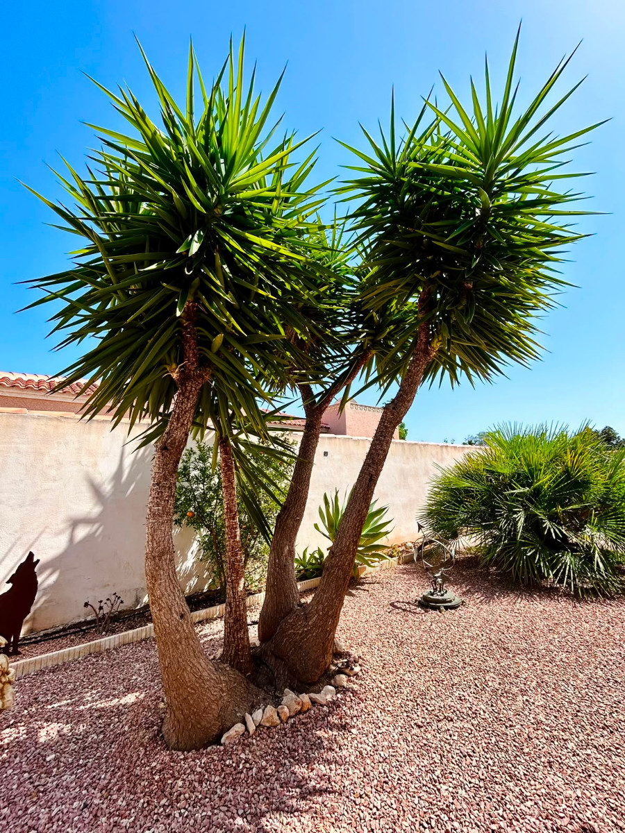 For sale - 3 Bedroom 2 Bathroom Villa in Torrevieja - Costa Blanca  - Alicante