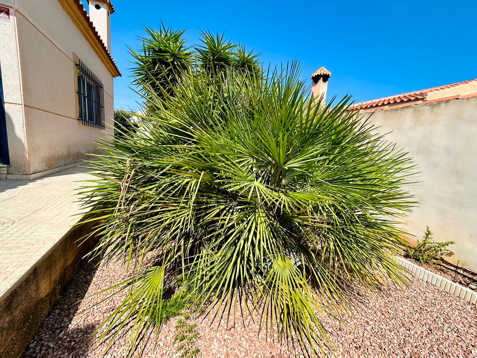For sale - 3 Bedroom 2 Bathroom Villa in Torrevieja - Costa Blanca  - Alicante