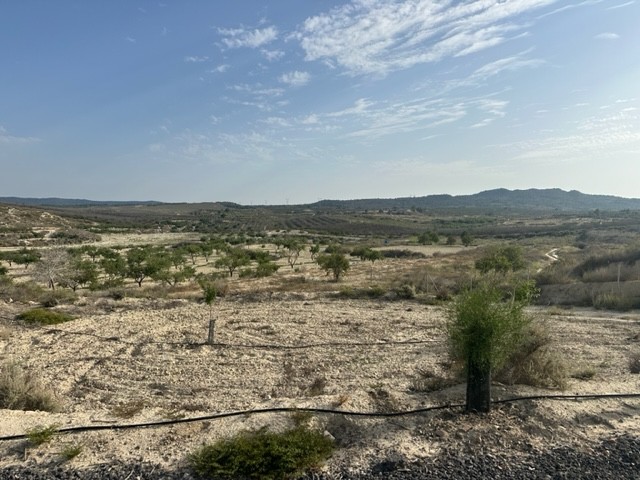For sale - Plot of Land in Torremendo - Torremendo  - Costa Blanca South