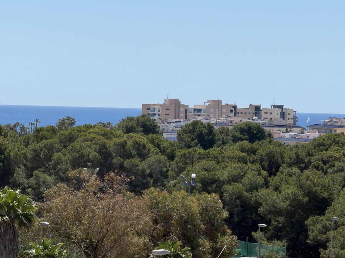 For sale - 4 Bedroom 3 Bathroom Villa in Mil Palmeras - , Mil Palmeras, Alicante, Spain - Alicante