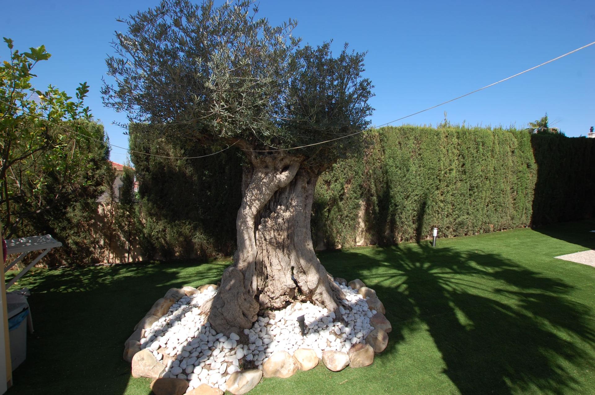 For sale - 5 Bedroom 4 Bathroom Villa in Ciudad Quesada - Costa Blanca  - Alicante