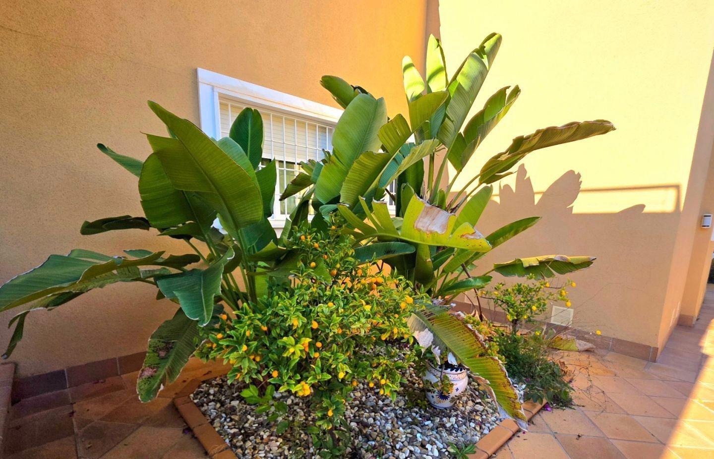 For sale - 5 Bedroom 3 Bathroom Town House in Orihuela Costa - Altos De Campoamor  - Alicante