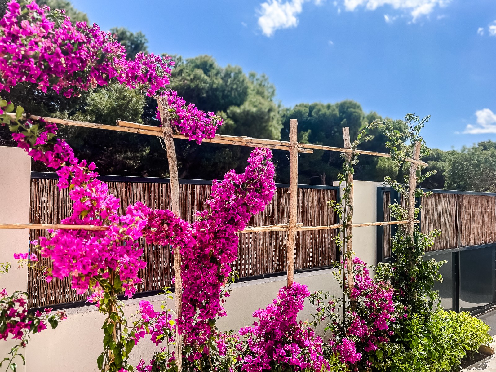For sale - 3 Bedroom 2 Bathroom Apartment in San Javier - Costa Calida  - Murcia