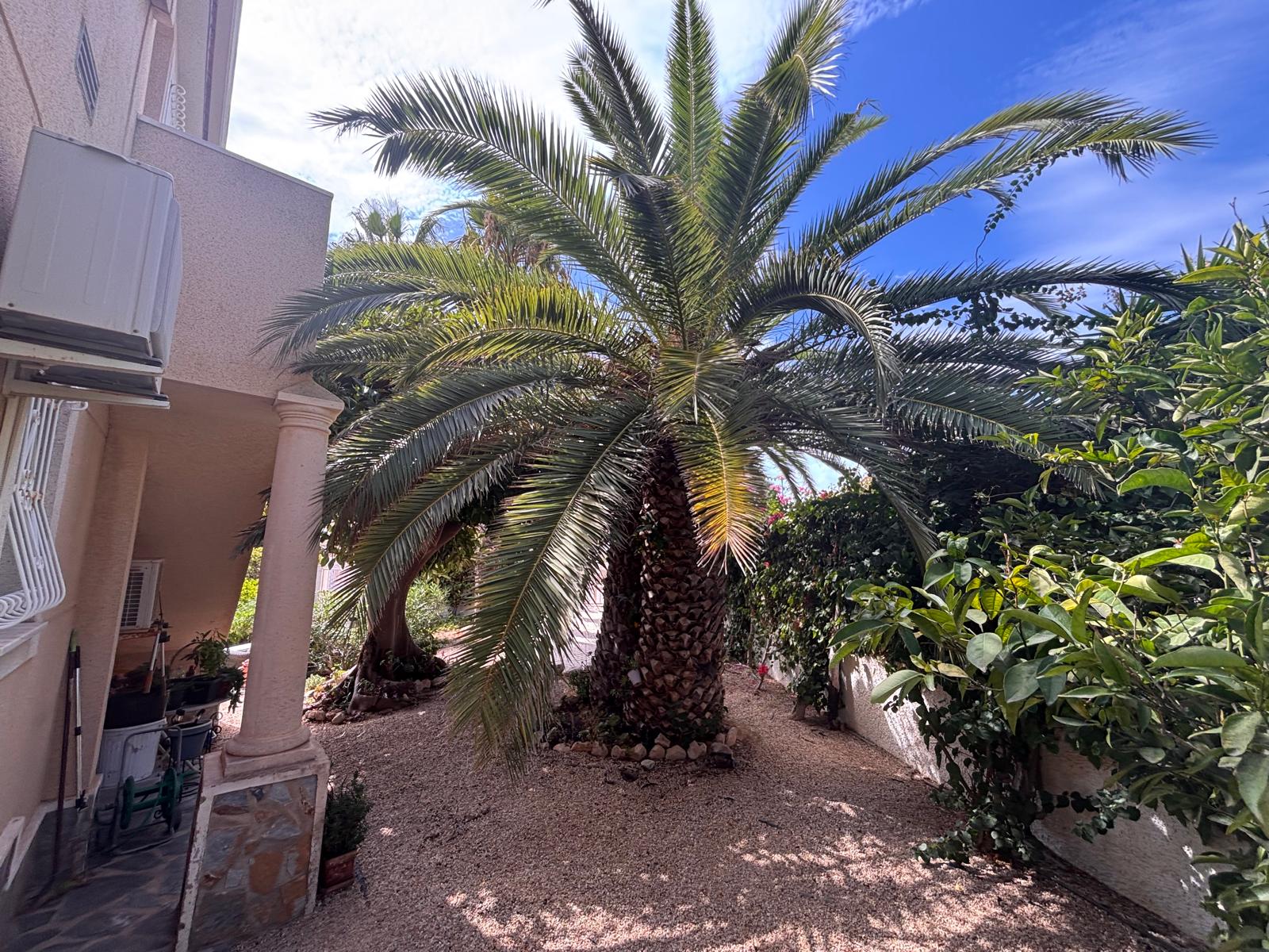 For sale - 3 Bedroom 3 Bathroom Villa in Ciudad Quesada - Costa Blanca  - Alicante