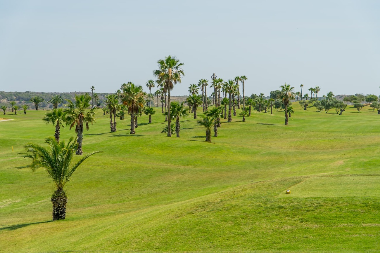 For sale - 2 Bedroom 2 Bathroom Apartment in Vistabella Golf Entre Naranjos -  - Alicante