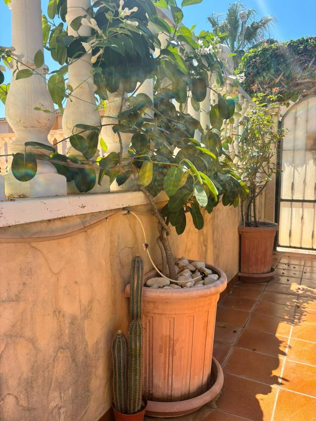 For sale - 2 Bedroom 2 Bathroom Villa in Orihuela Costa - Lomas De Cabo Roig  - Alicante