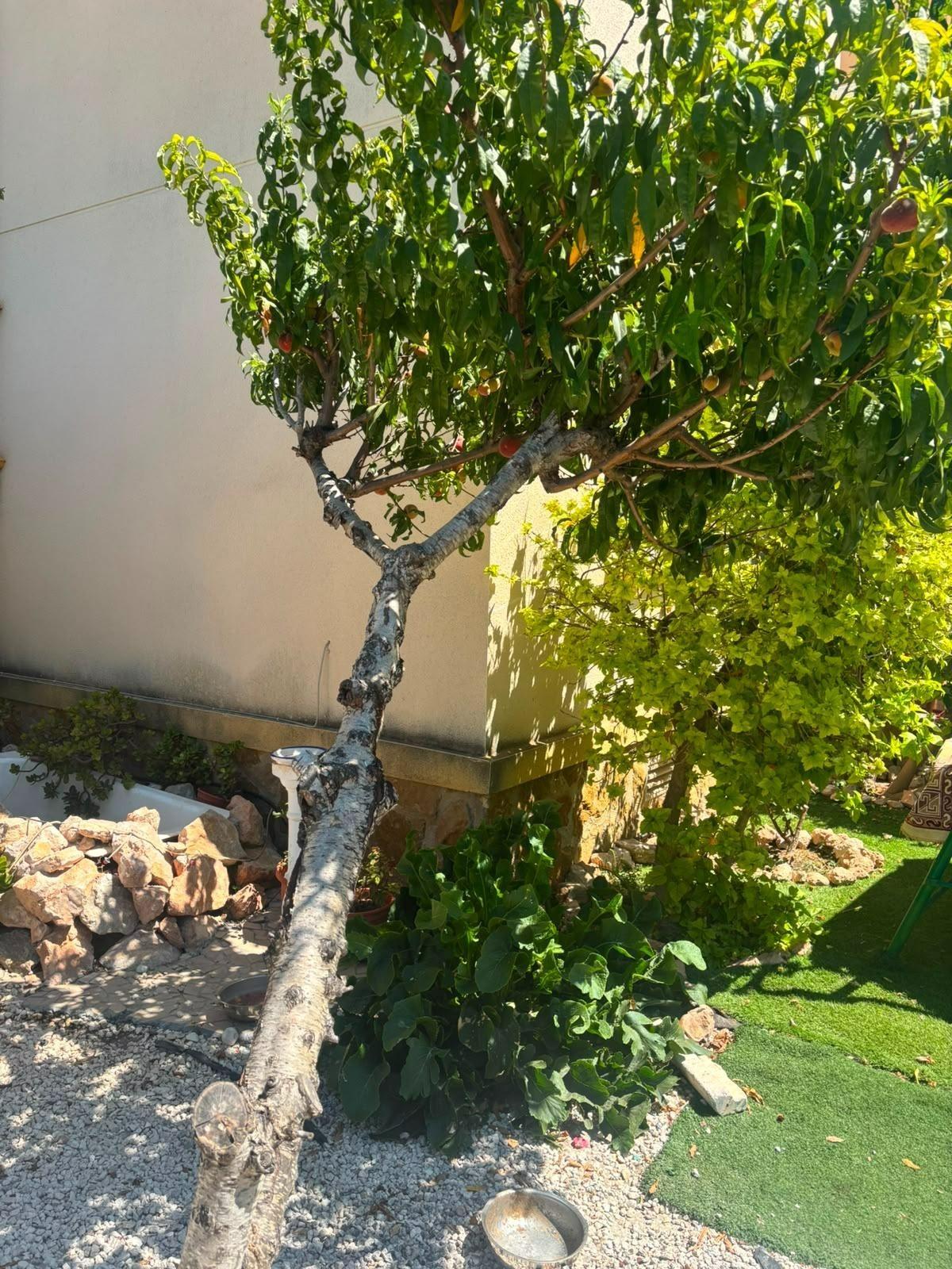 For sale - 2 Bedroom 2 Bathroom Villa in Orihuela Costa - Lomas De Cabo Roig  - Alicante