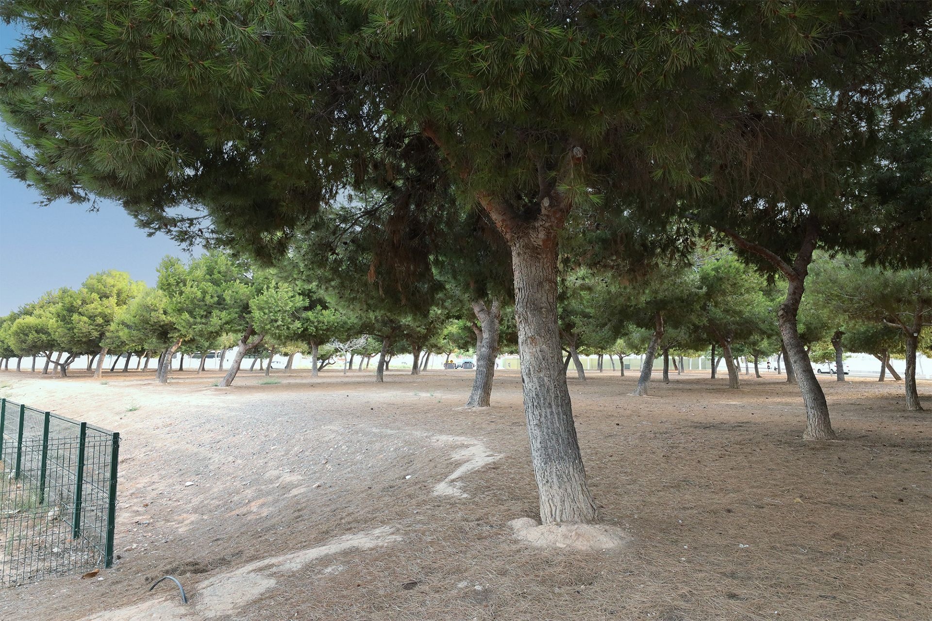 For sale - 2 Bedroom 2 Bathroom Bungalow in San Pedro del Pinatar - Costa Calida  - Murcia