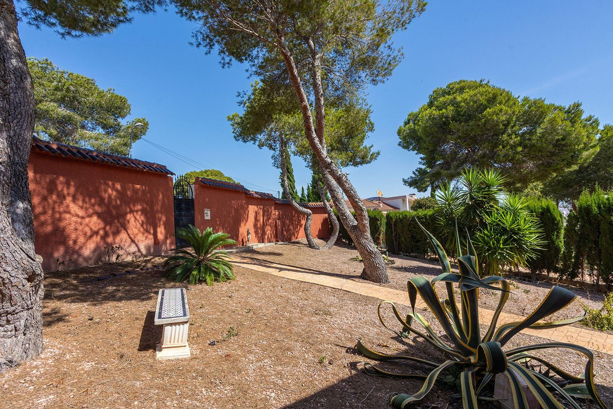 For sale - 4 Bedroom 3 Bathroom House - Detached Villa in Torrevieja - Torrevieja Centro  - Alicante
