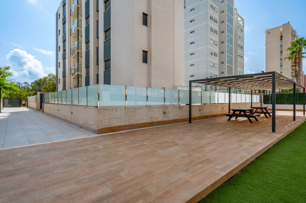 For sale - 3 Bedroom 2 Bathroom Apartment - Ground Floor Apartment in Guardamar del Segura - Guardamar del Segura Centro  - Alicante