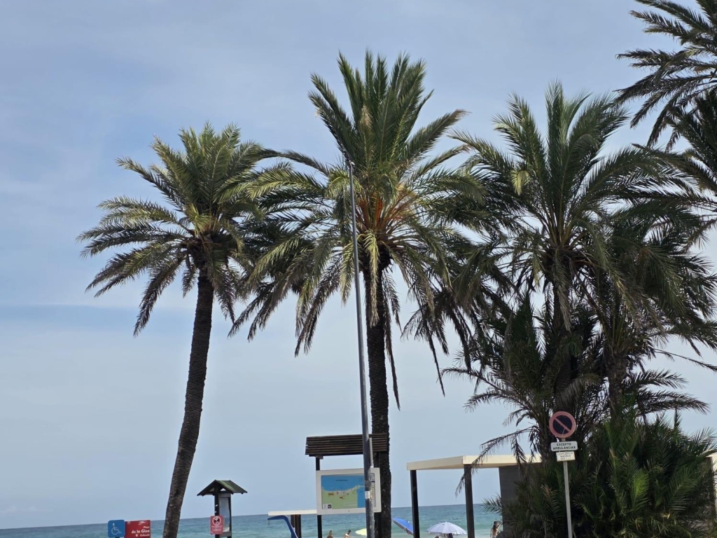 3 Bedroom 2 Bathroom Apartment in Orihuela Costa
