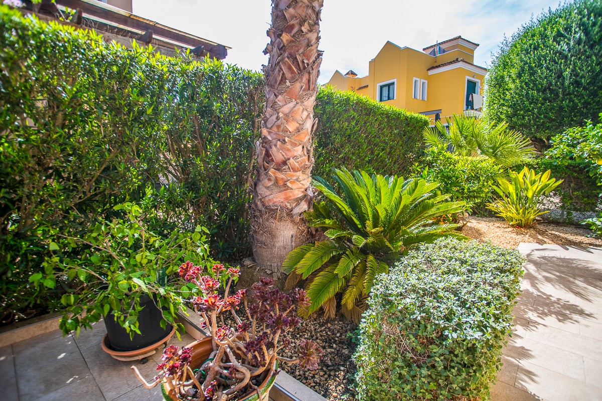 For sale - 4 Bedroom 2 Bathroom Villa in Torrevieja - Costa Blanca  - Alicante